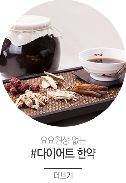 다이어트한약