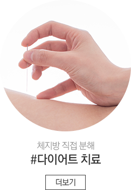 다이어트치료