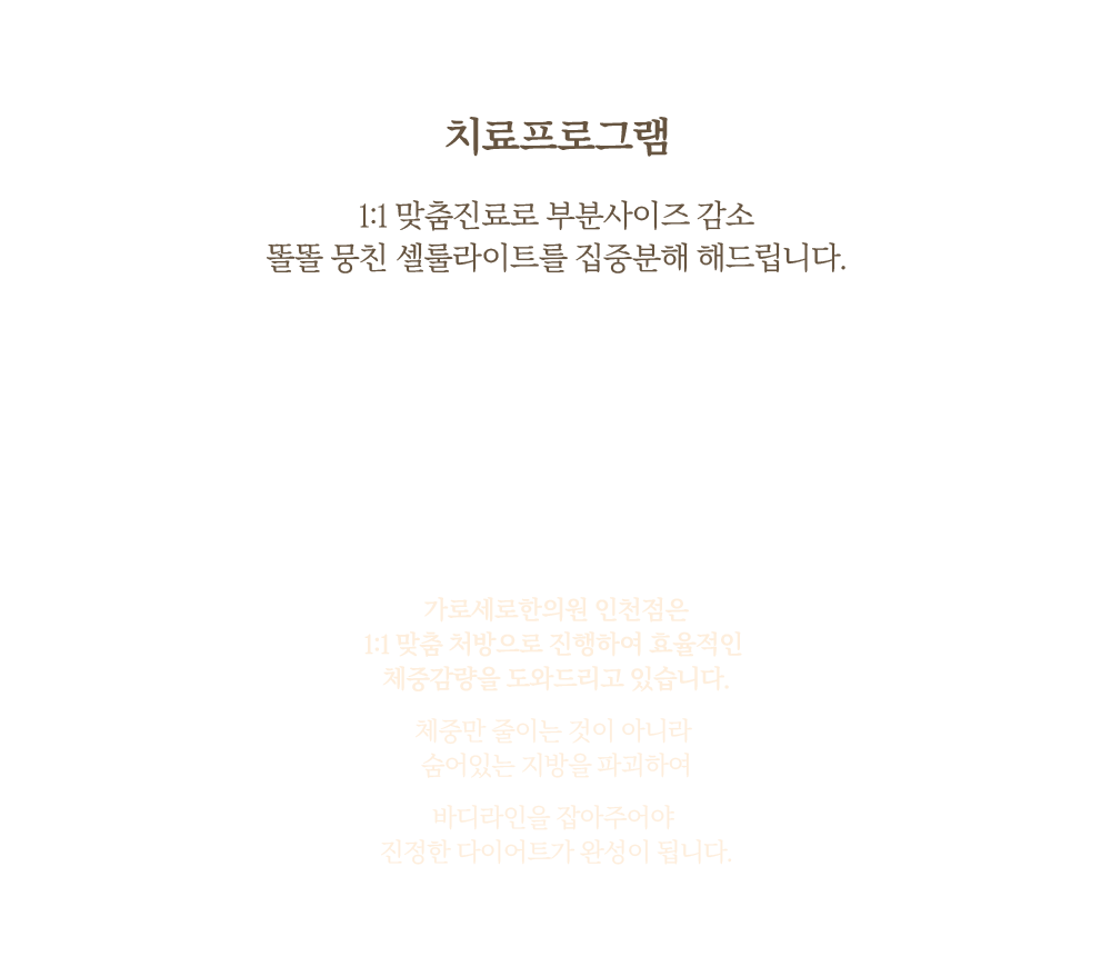 치료프로그램설명