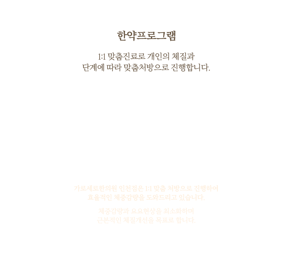 한약프로그램설명