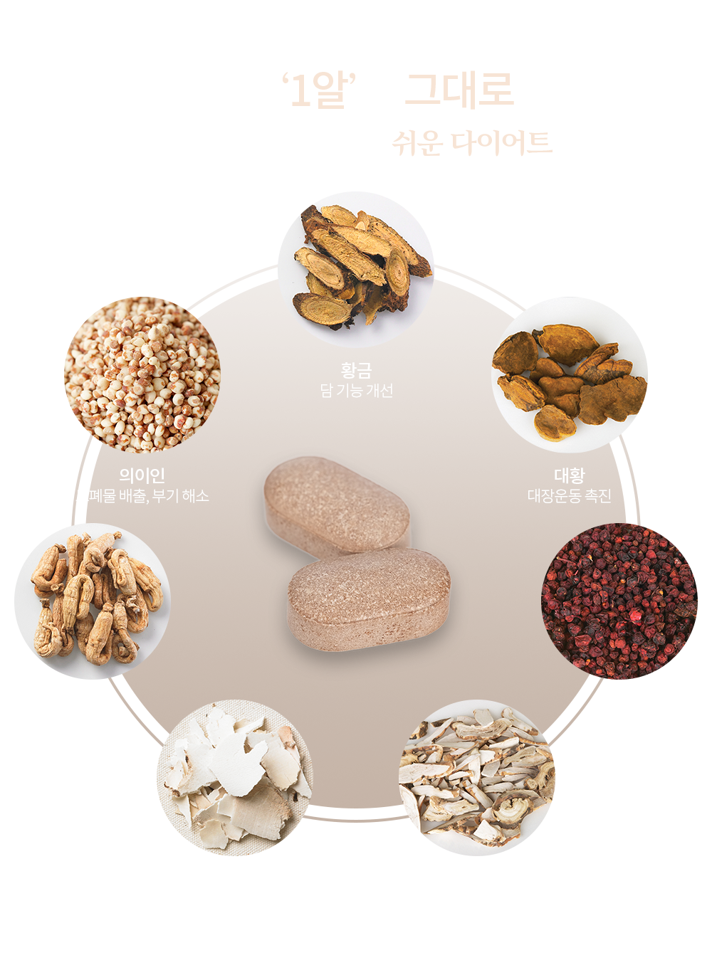한약 한포 성분을 ‘1알’에 그대로